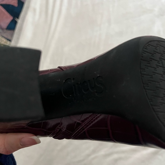 Circus by Sam Edelman Over the Knee Boots - Deep Burgundy - Picture 8 of 8